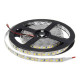 Ruban LED 9,6W/m DC12V 120LED/m longueur 5m - Blanc du Jour 6000K
