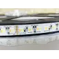 Ruban LED 96 LED/m 35W/m RGB+CCT 2400-6000K 1m