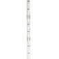 Ruban LED Blanc 120 LED/m 9W/m IP65 5m - Blanc Chaud 3000K