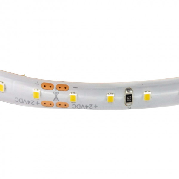 Ruban LED Blanc 120 LED/m 9W/m IP65 5m - Blanc du Jour 6000K