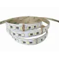 Ruban LED RGBW Blanc du Jour 6000K 96 LED/m 27W/m - Longueur 10m Ruban LED RGBW Blanc du Jour 6000K 96 LED/m 27W/m - Longueur 10m