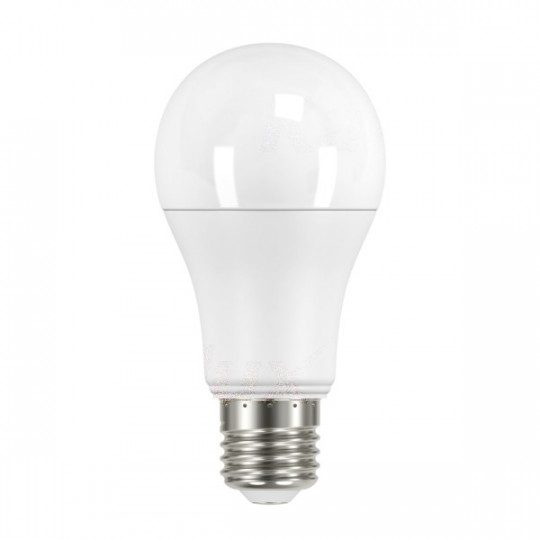 Ampoule LED E27 13,5W A60 Équivalent à 108W - Blanc du Jour 6500K