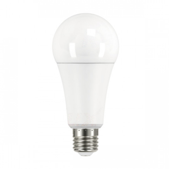 Ampoule LED E27 19W A67 - Blanc du Jour 6500K