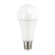 Ampoule LED E27 19W A67 - Blanc du Jour 6500K