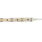 Ruban LED Haute Luminosité 18W/m 280 LED/m IP20 10m - Blanc Froid 6000K