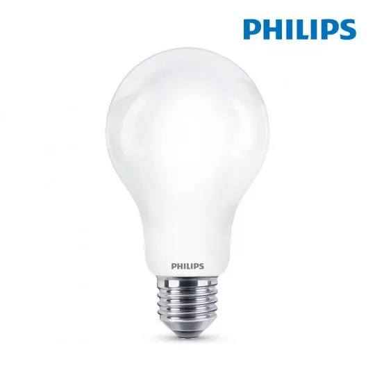 Ampoule LED E27 13W Ronde A70 équivalent à 104W - Blanc du Jour 6500K