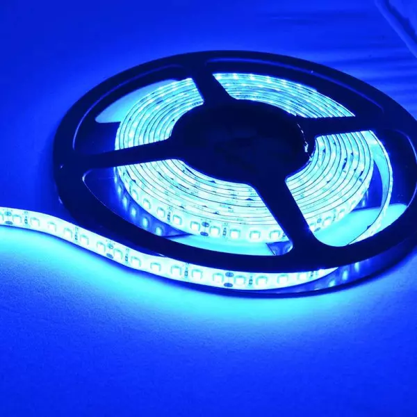 Ruban LED 1m 120 LED/m 9,6W/m 24V bleu