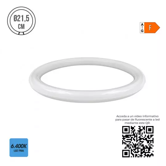 Tube LED Circulaire G10 15W 1500lm (22W) 360° - Blanc du Jour 6400K