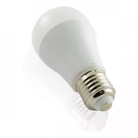 Ampoule LED E27 9W équivalent 75W - Blanc du Jour 6400K