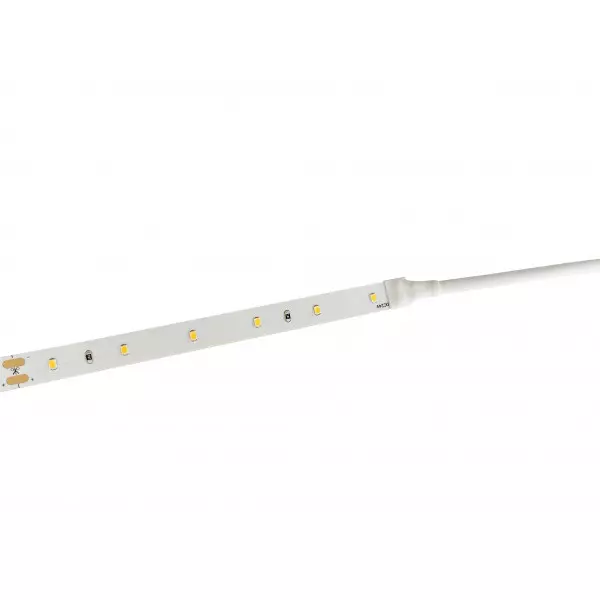 Ruban LED Blanc 60 LED/m 4,8W/m IP20 10m - Blanc du Jour 6000K