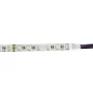 Ruban LED étanche IP65 60LED/m 17W/m 5m RGB + Blanc Chaud 3000K