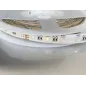 Ruban LED étanche IP65 60LED/m 17W/m 5m RGB + Blanc Chaud 3000K