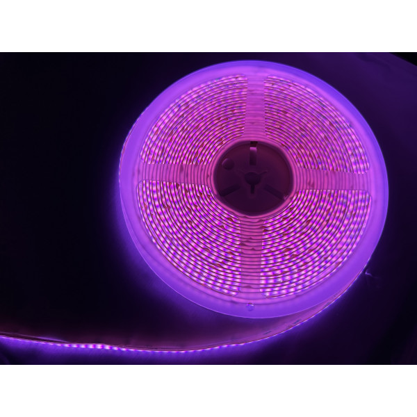 Ruban  COB LED Haute Luminosité 16W/m 896LED/m IP20 1m - RGB+W 3000K