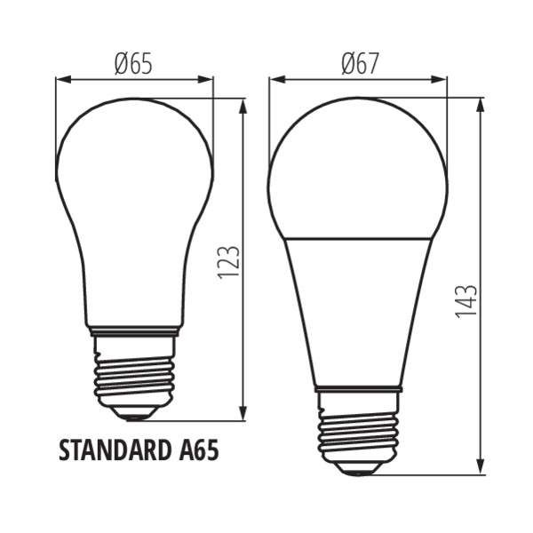 Ampoule LED E27 19W A67 équivalent à 157W - Blanc du Jour 6500K