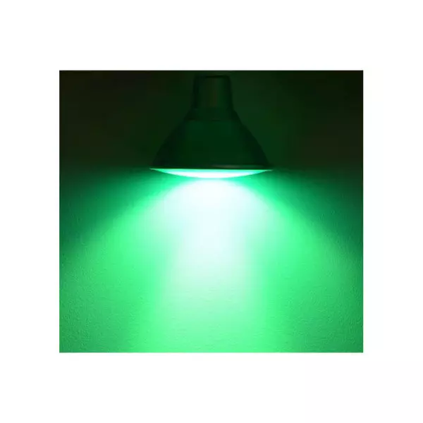 Ampoule LED E27 AC220/240V 16W 38° Etanche IP65 Vert Ø122mm - RGB