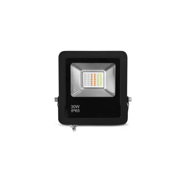 Projecteur Extérieur LED Dimmable AC220/240V 30W 110° Étanche IP65 168mmx27mm Noir - RGB
