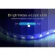 Contrôleur LED DC12/36V 6A/Ch RadioFréquence / Alexa / Google Asisstant - RGBW 044