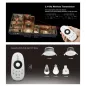 Télécommande Dimmable RF 2.4GHz Mono-couleur 4 Zones - 006 Télécommande Dimmable RF 2.4GHz Mono-couleur 4 Zones - 006