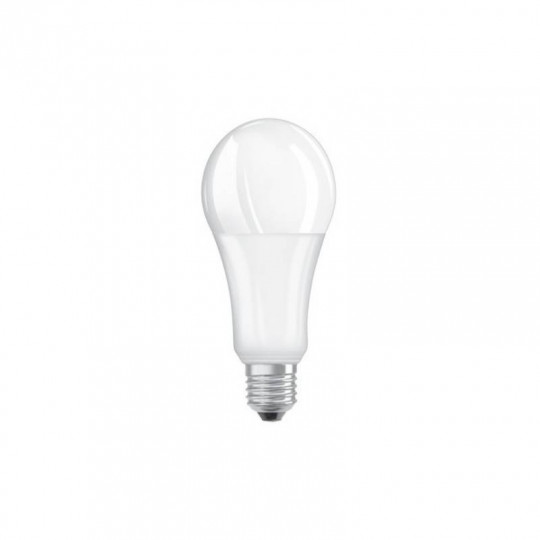 Ampoule LED E27 20W équivalent 150W - Blanc Chaud 2700K