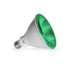 Ampoule LED E27 PAR38 16W Vert - 30000h - IP65 - 38° - Ø122mm