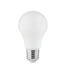 Ampoule LED IQ-LED A60 - 7,9W - Blanc du Jour 6500K - E27 - 1055lm