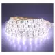 Ruban LED Dimmable DC12V 60LEDs/m 14,4W/m 270lm/m 180° Étanche IP65 5m - Blanc Froid 6000K