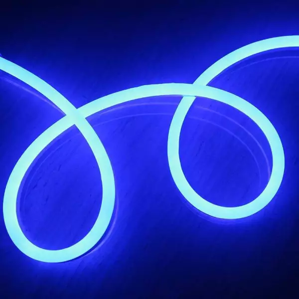 Néon LED Flexible lumineux longueur 1m