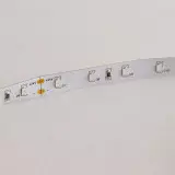 Ruban LED Puissant 60LED/m 5m 13W/m - Lumière Bleu