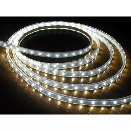 Ruban LED Blanc 120 LED/m 9,6W/m