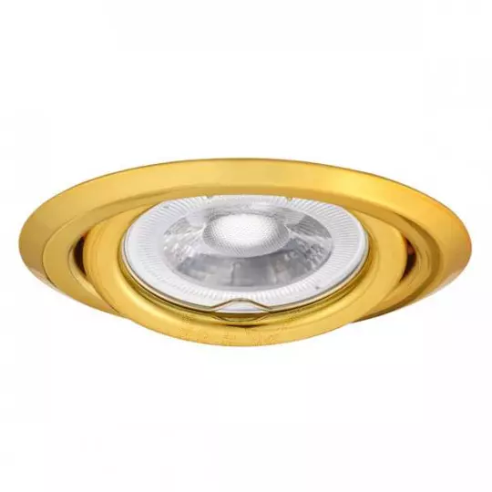 Support Spot Encastrable Rond Orientable 15° ARGUS Or
