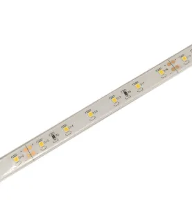 Ruban LED puissant 60 LED/m 11W/m DC24V Étanche IP68 - Blanc Naturel 4000K