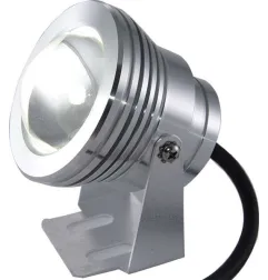 Projecteur LED 5W