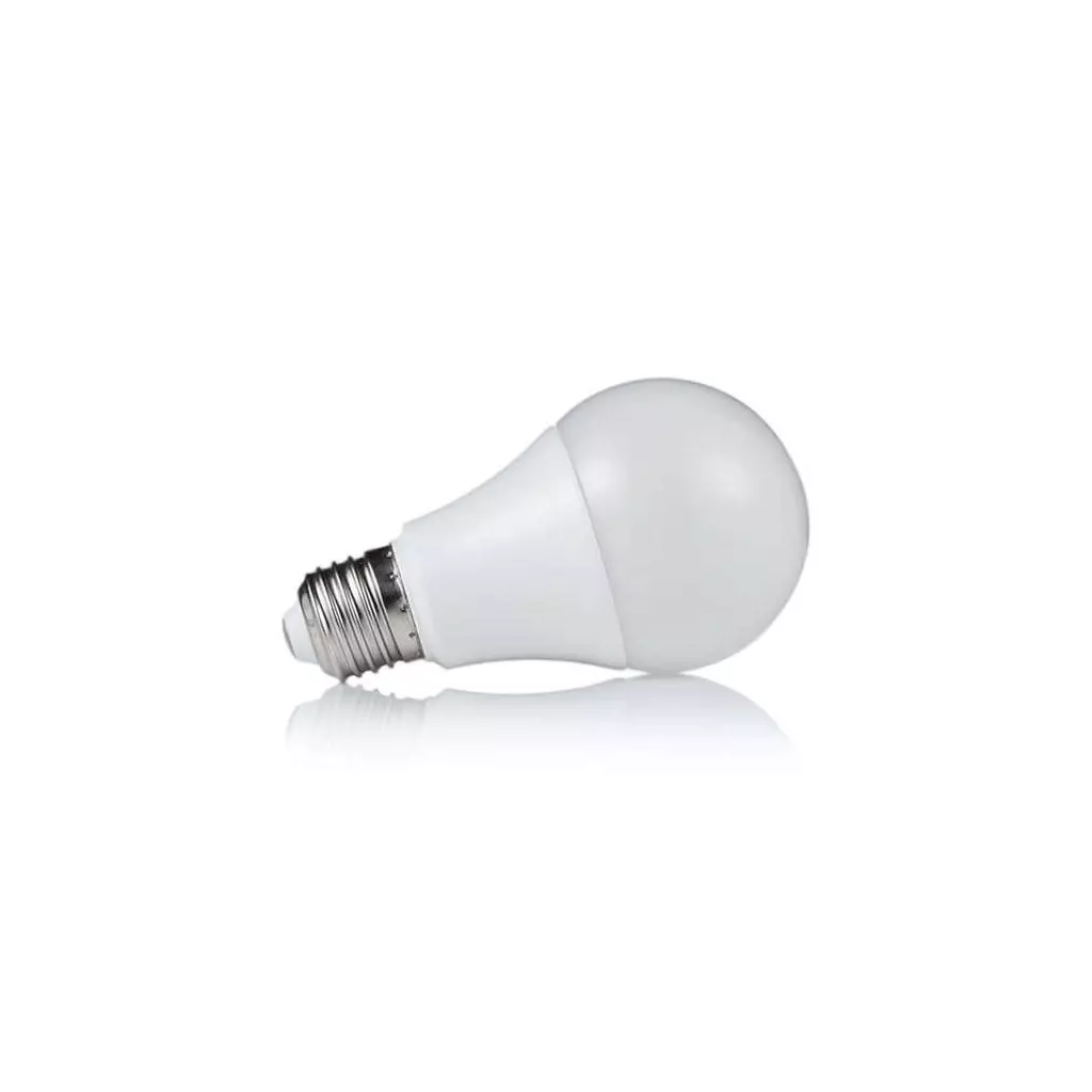 Ampoule LED Culot E27 12W