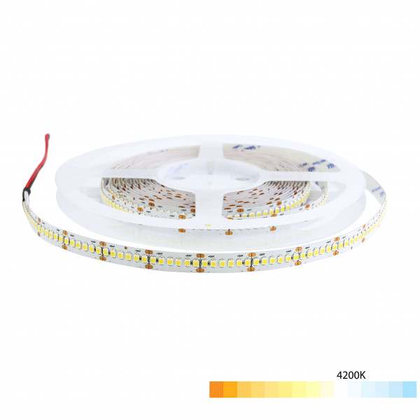 Ruban LED Blanc 24V haute luminosité 120 LED/m 19,6W/m - Blanc Naturel 4200K
