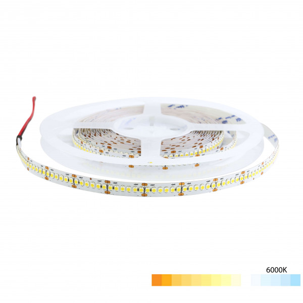 Ruban LED Blanc 24V haute luminosité 120 LED/m 19,6W/m - Blanc Du Jour 6000K