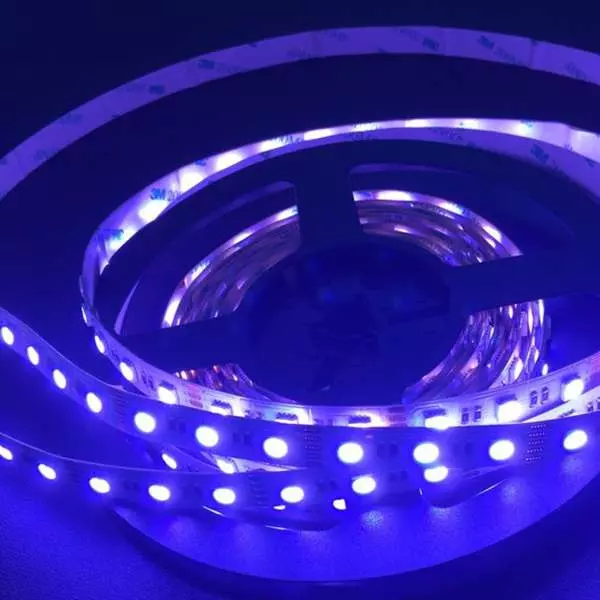 Ruban LED Extérieur iP67 12V 3528 Blanc à 60 LEDs/m - 10m Continu (Ruban  seul)