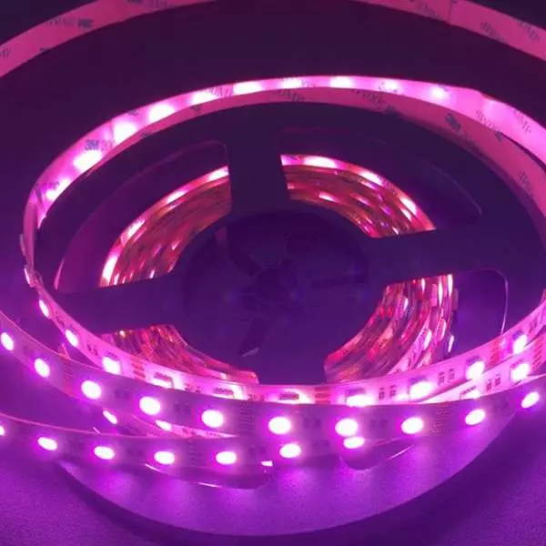 Ruban LED RGB+W 96LED 27W/m