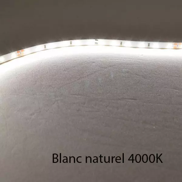 Ruban LED Blanc 120 LED/m 9W/m IP65 5m - Blanc Naturel 4000K