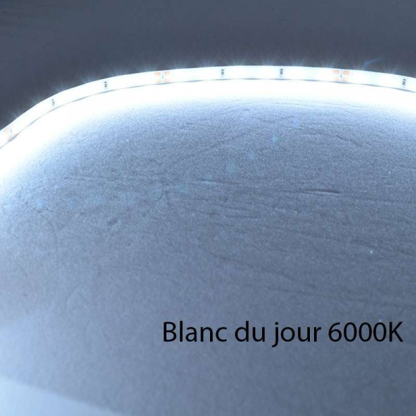Ruban LED Blanc 60 LED/m 4,8W/m IP68 5m - Blanc du Jour 6000K