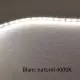 Ruban LED Blanc 60 LED/m 4,8W/m