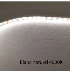 Ruban LED Blanc 60 LED/m 4,8W/m