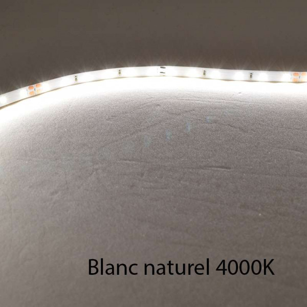 Ruban LED Blanc 60 LED/m 4,8W/m
