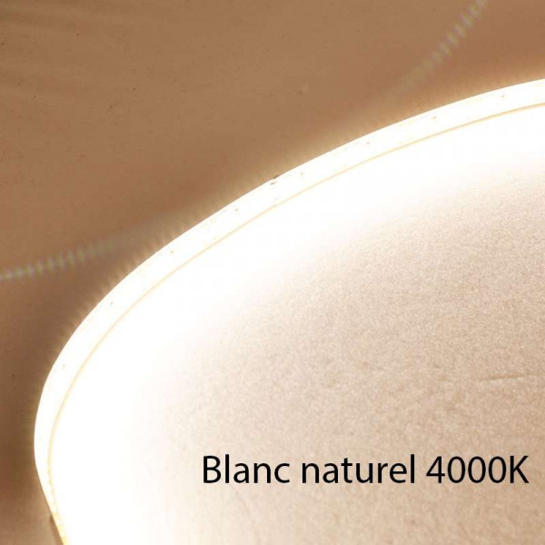 Ruban LED Blanc 1200 LED 5m 18W/m