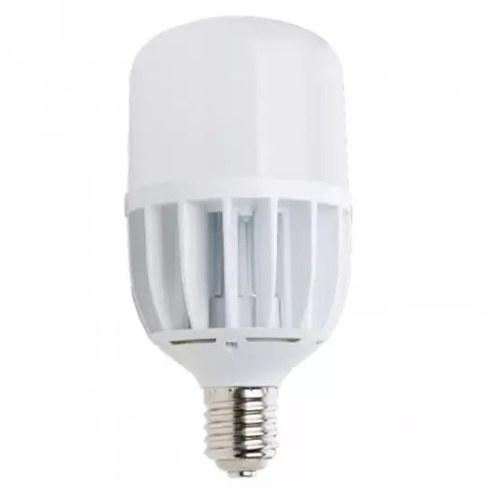 Ampoule LED 30W 3200 lumens (200W) E27 T80