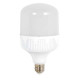 Ampoule LED 30W 2900 lumens (200W) E27 T100 - Blanc du Jour 6000K