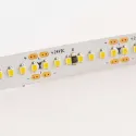 Ruban LED Dim to Warm 17W/m 240 LED/m IP20 1m - Blanc Chaud 3000K