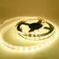 Ruban LED 5m 5050 étanche RGB 14W/m Ruban LED 5m 5050 étanche RGB 14W/m
