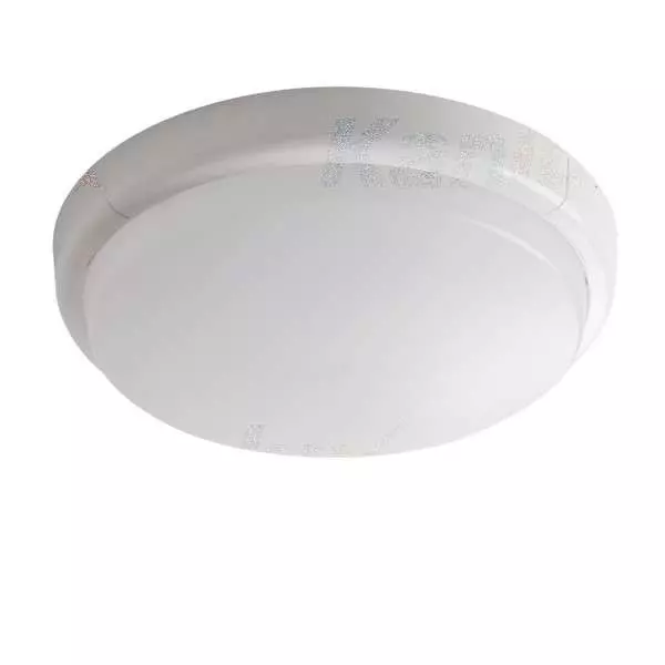 Plafonnier LED 15W 1280lm Non-Étanche IP20 ∅250mm Blanc - Blanc Naturel 4000K