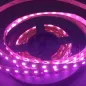 Ruban LED 96 LED/m 35W/m RGB+CCT 2400-6000K 1m