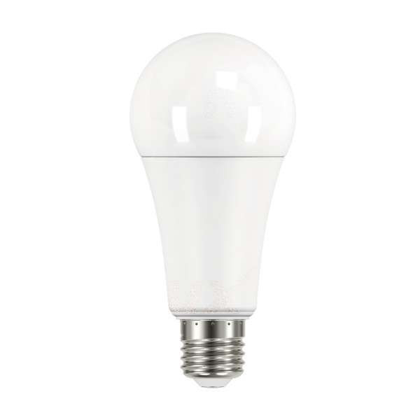 Ampoule LED E27 17,5W A67 équivalent à 126W - Blanc du Jour 6500K 